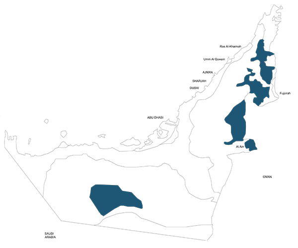 Standard Map