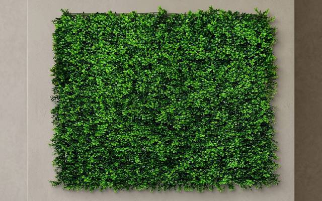 Softscape collection placeholder
