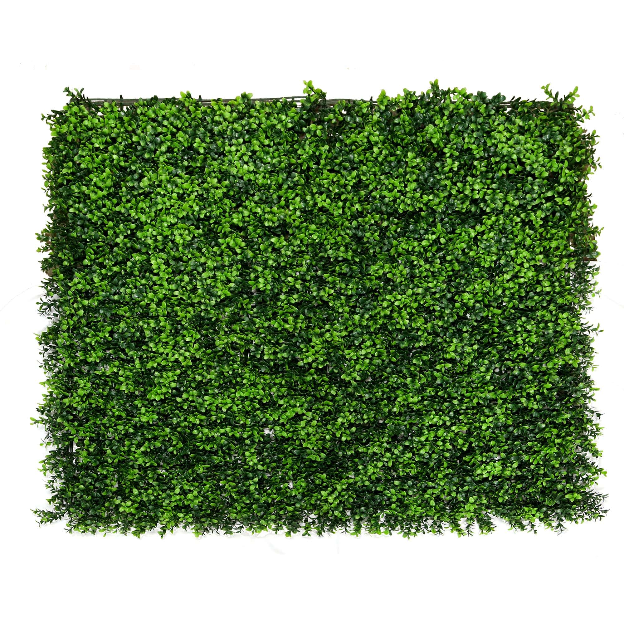 Artificial Grass